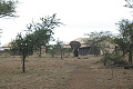 Serengeti Tanzania Bush Camp, Serengeti, Tanznia