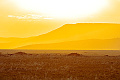 Serengeti Tanzania Bush Camp, Serengeti, Tanznia