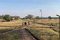 Serengeti Tanzania Bush Camp, Serengeti, Tanznia