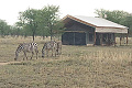 Serengeti Tanzania Bush Camp, Serengeti, Tanznia