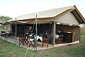 Serengeti Tanzania Bush Camp, Serengeti, Tanznia