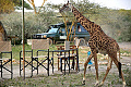 Serengeti Tanzania Bush Camp, Serengeti, Tanznia