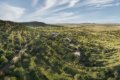 Elewana Explorer Camp, Serengeti, Tanzania