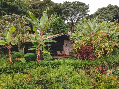 Gibb's Farm, Karatu