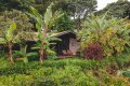 Gibb�s Farm, Karatu