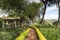 Gibb�s Farm, Karatu