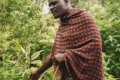 Gibb�s Farm, Karatu