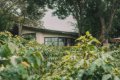 Gibb�s Farm, Karatu