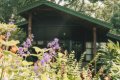 Gibb�s Farm, Karatu