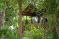 Gibb�s Farm, Karatu