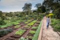 Gibb�s Farm, Karatu