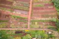 Gibb�s Farm, Karatu