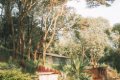 Gibb�s Farm, Karatu