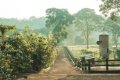 Gibb�s Farm, Karatu