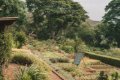 Gibb�s Farm, Karatu