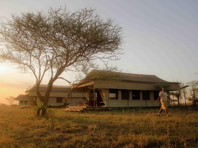 Hippo Trails Camp, Serengeti