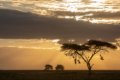 Hippo Trails Camp, Serengeti, Tanzania