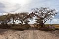 Melia Serengeti Lodge, Serengeti