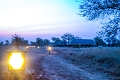 Osinon Camp, Serengeti