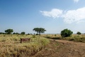 Serengeti Serena Safari Lodge, Serengeti, Tanznia