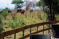 Tarangire Sopa Lodge, Tarangire, Tanznia