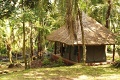 Kibale Forest Kemp, Kibale, Uganda