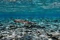 Finolhu Resort, Baa Atoll, Maldivy