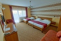 Wellness Hotel Katalin, Gyenesdis