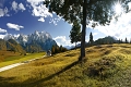 Post Hotel Mittenwald, Mittenwald