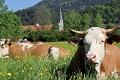 Gasthof Klosterhof zur Post, Bayrischzell