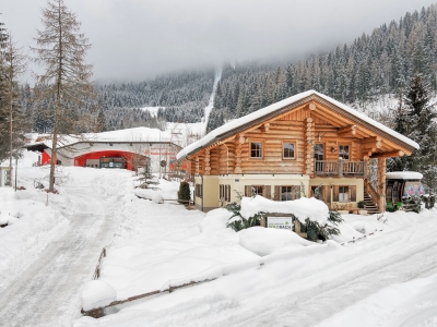 Apartmny Chalet 24 - Bad Kleinkirchheim