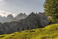 Ferienhotel Fuchs, Sll in Tirol