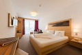 Alpinhotel Monte, Galtr