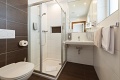 Alpinhotel Monte, Galtr