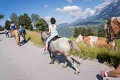 Hotel Schrckerhof, Schladming