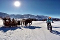 Przdninov dom Zirbe, Schladming