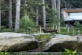 Hotel Bjrnson & Tree Houses, Jasn