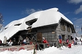 Chalet Burja, Vogel