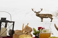 Chalet La Variet�, La Villa
