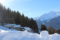 Hotel Stella Alpina, Bormio