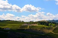 Vinrsky rezort Borgo Cond, Forli