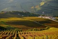 Vinrsky rezort Borgo Cond, Forli