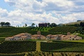 Vinrsky rezort Borgo Cond, Forli
