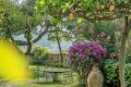 Z�hradn� st�l so stoli�kami pod stromami pri fialov�ch kvetoch a ve�kej n�dobe