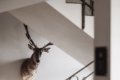 Montis Active Nature Resort ****, Riscone, Kronplatz