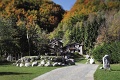 Wonderfall Chalet Resort, Limonetto