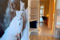 Camana Noa Izby & Suity, Livigno