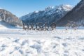 Hotel Paradise Lodge, Livigno