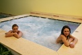 Hotel Alpen, Andalo