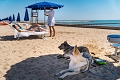 Apartmny Pareus Beach Resort, Caorle